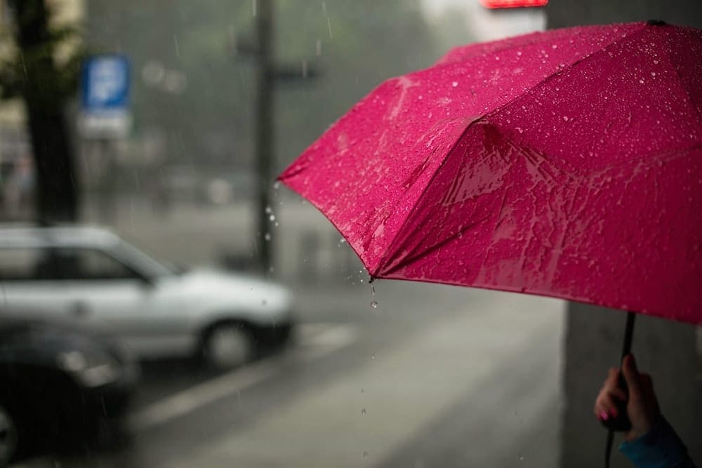Umbrella Insurance